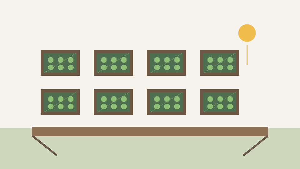 Seed tray sketch
